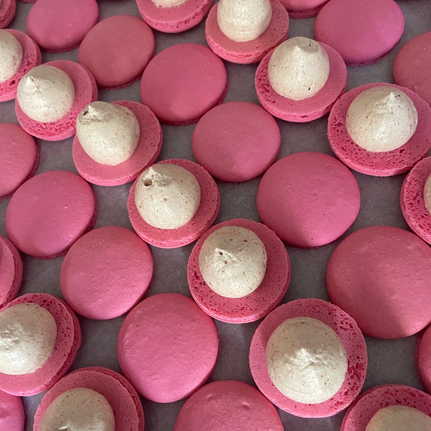 raspberry “glühwein”* (mulled spice) macs.