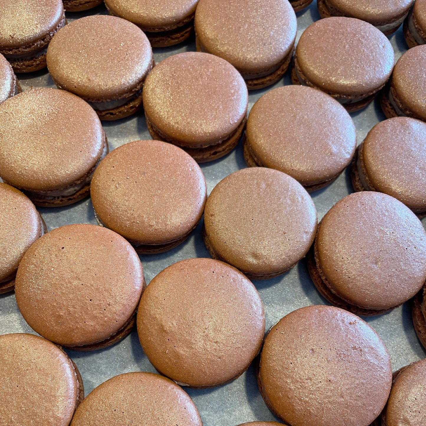 haselnuss (hazelnut) macs.